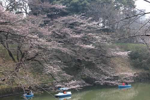 20170330璹̍2.JPG