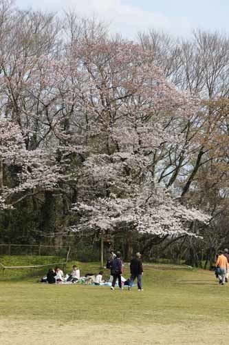 20170406q̍3.JPG
