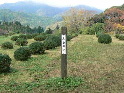 Rxc11.JPG