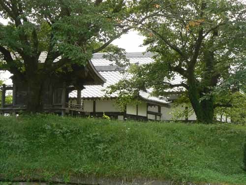 04.JPG