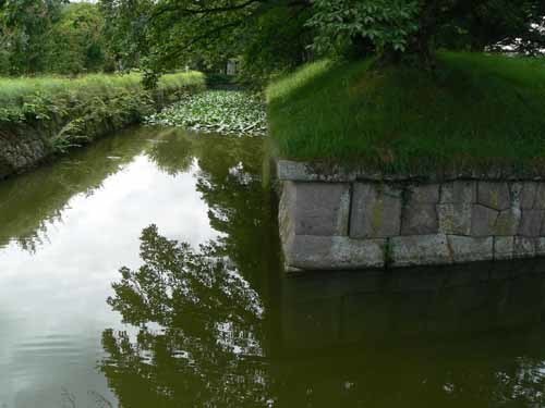 05.JPG